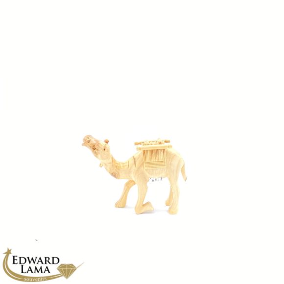 Camel