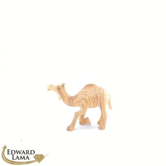 Camel