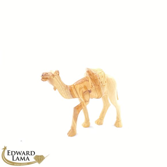 Camel