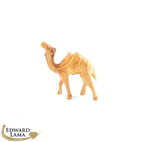 Camel
