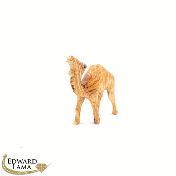 Camel - Image 2