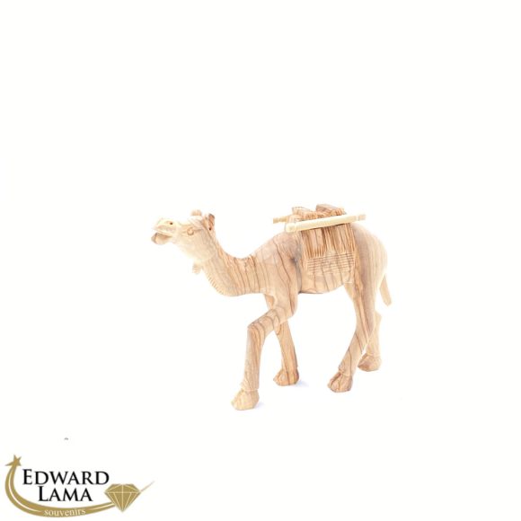 Camel