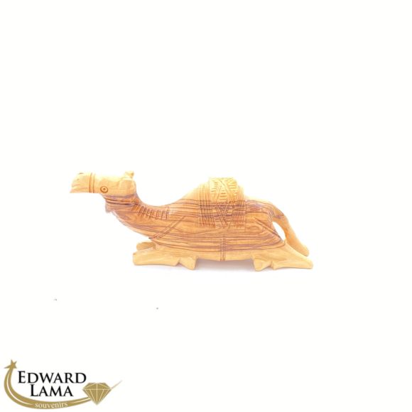 Camel