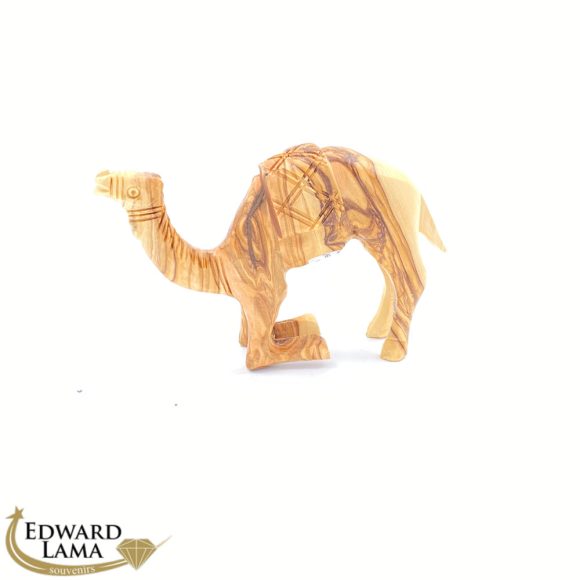 Camel