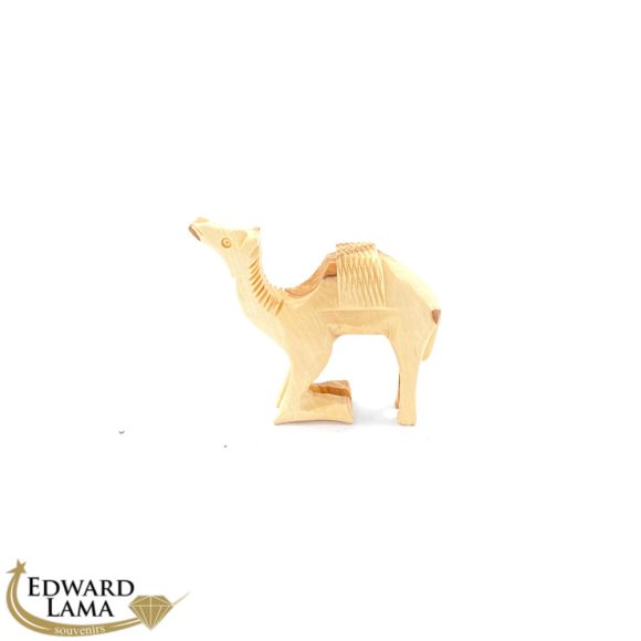 Camel