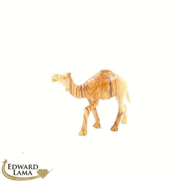 Camel