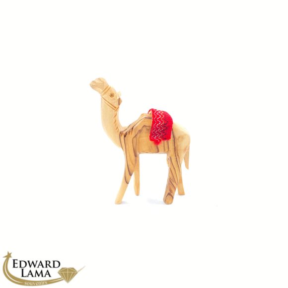 Camel