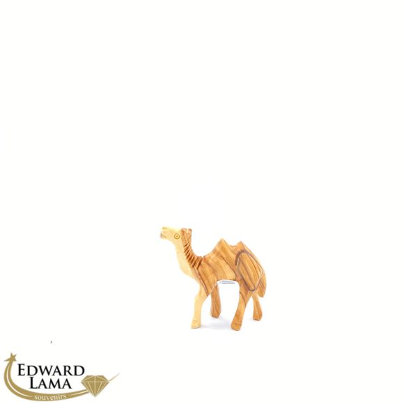 Camel
