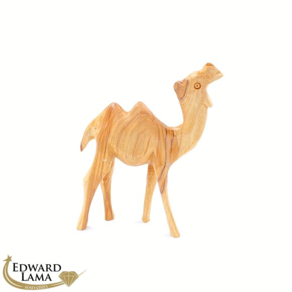 Camel