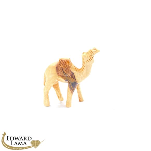 Camel - Image 2