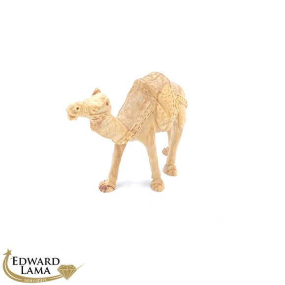 Camel