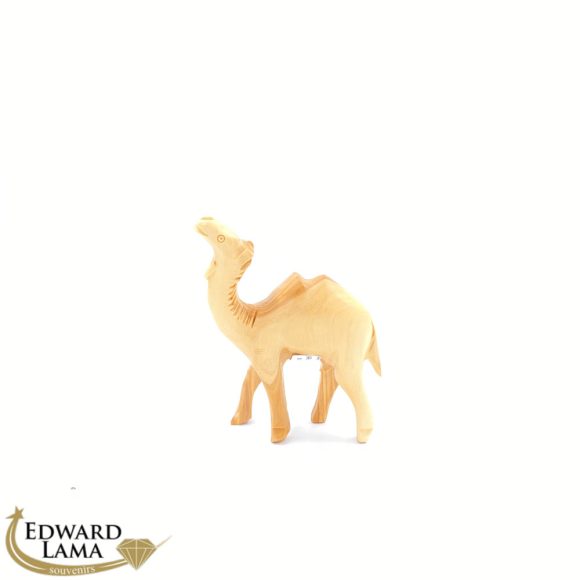 Camel