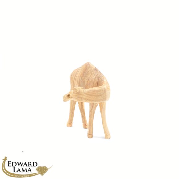 Camel
