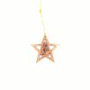 Holy Family Star Of Bethlehem