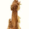 Saint Francis